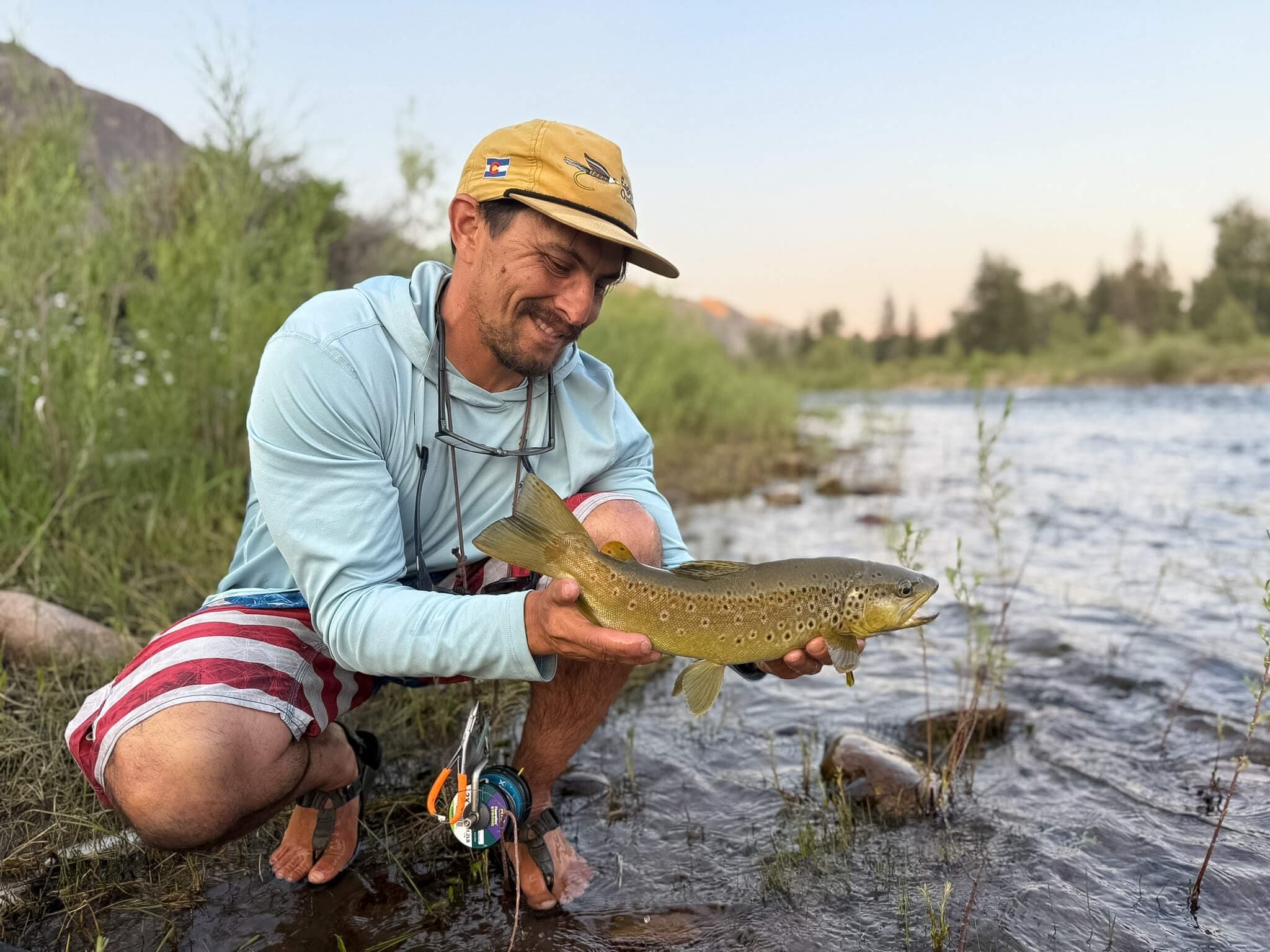 Brown trout with wholesale flies