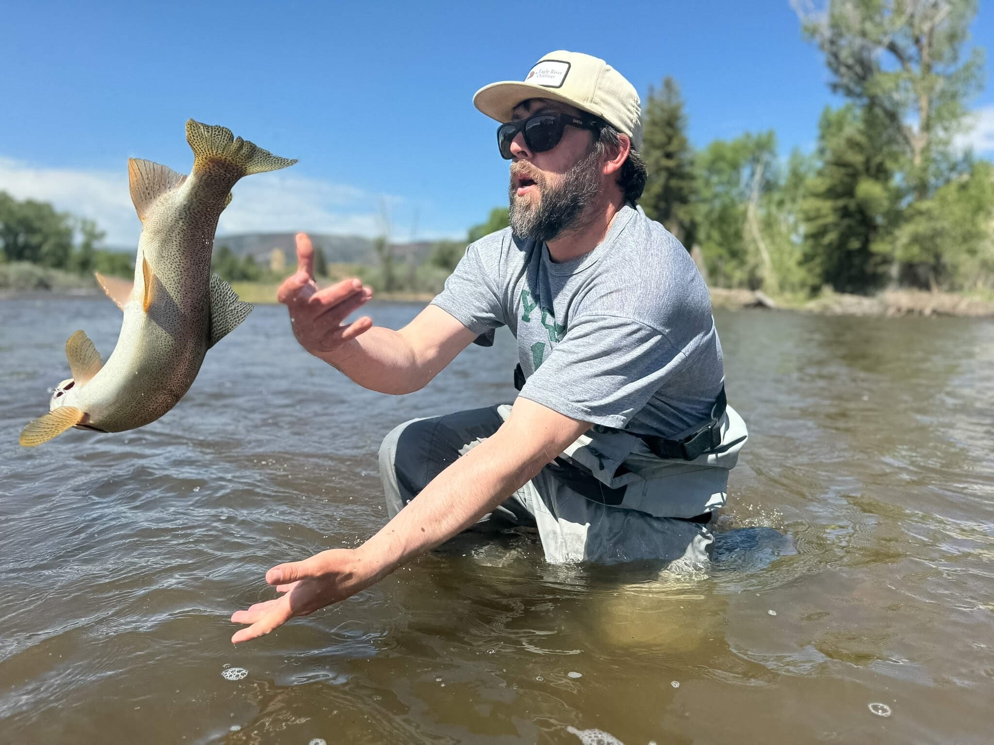 Brown trout river catch